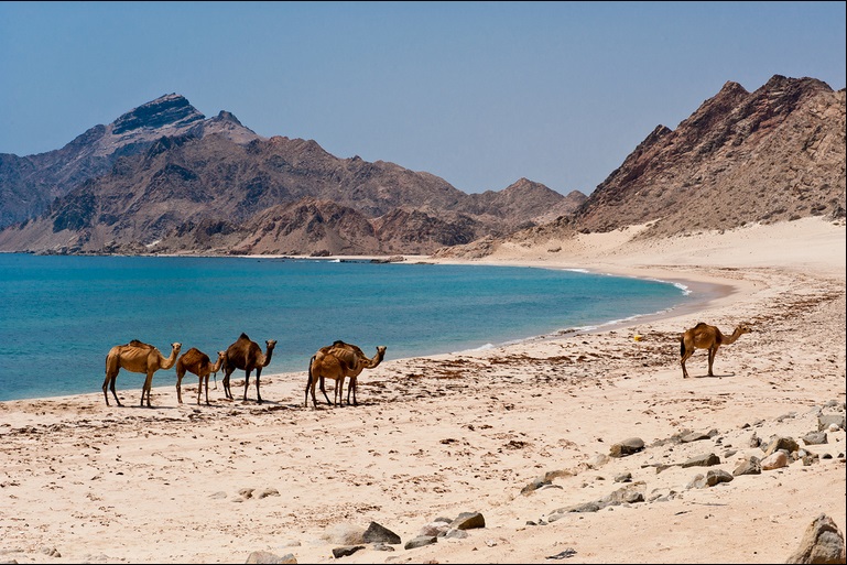 New Year in Oman