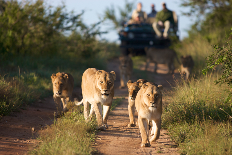 South Africa Tour