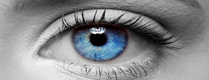 EMDR Adulti